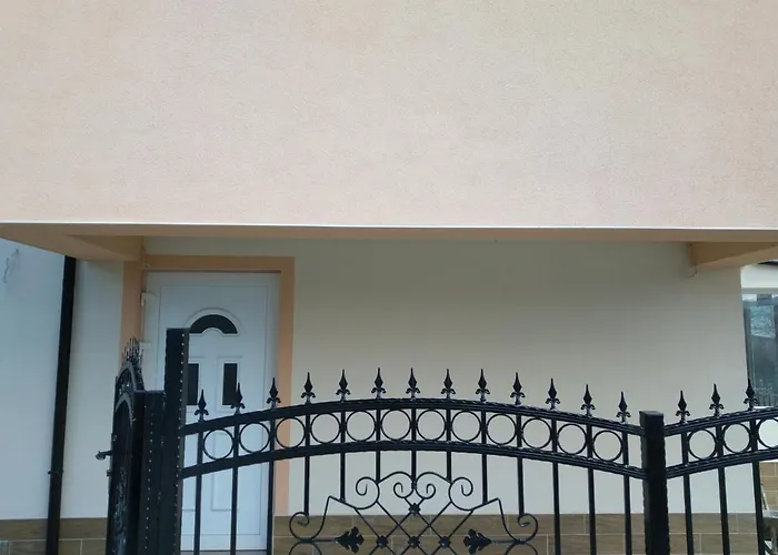 детелини Primorsko